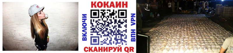 Купить закладки  Каменск-Шахтинский  Cocaine Эквадор 
