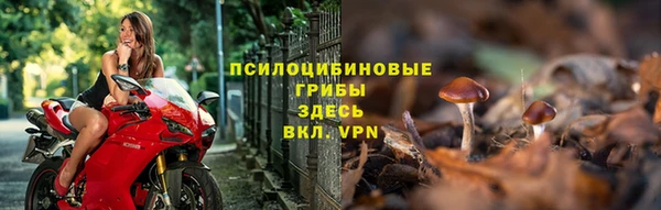 стаф Киреевск