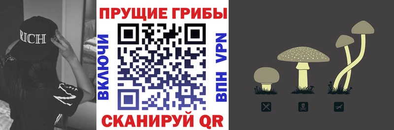 Галлюциногенные грибы мицелий Купить где Каменск-Шахтинский