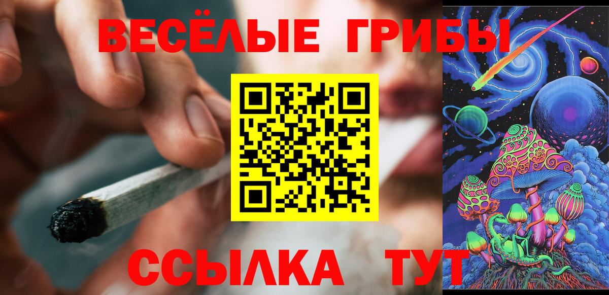 Псилоцибиновые грибы MAGIC MUSHROOMS  Вход с VPN  Каменск-Шахтинский 