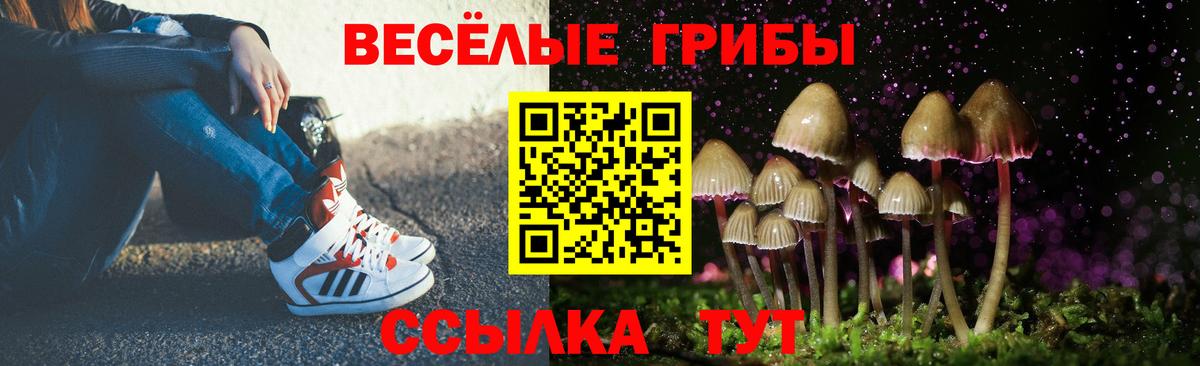 Галлюциногенные грибы Cubensis Каменск-Шахтинский